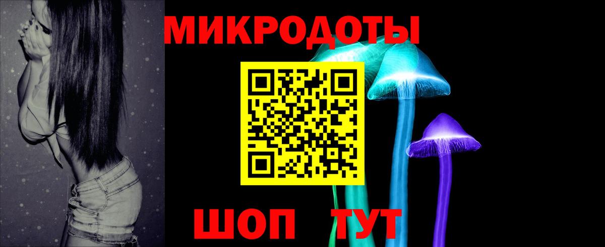 Галлюциногенные грибы Psilocybine cubensis Борисоглебск