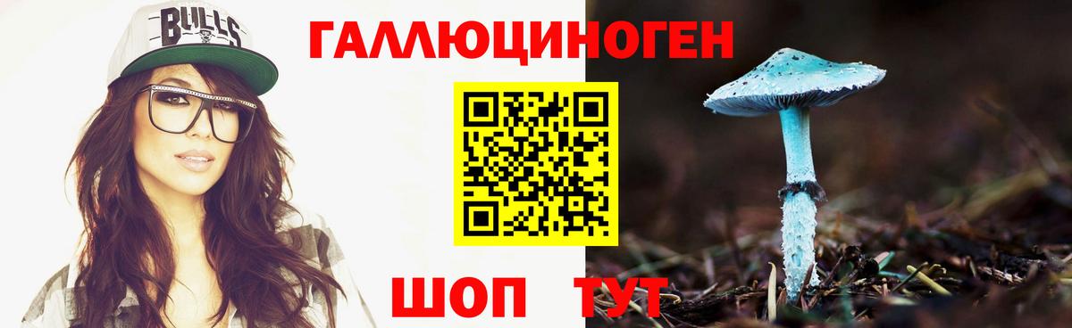 где купить   Вход с VPN  Борисоглебск  Галлюциногенные грибы Magic Shrooms 